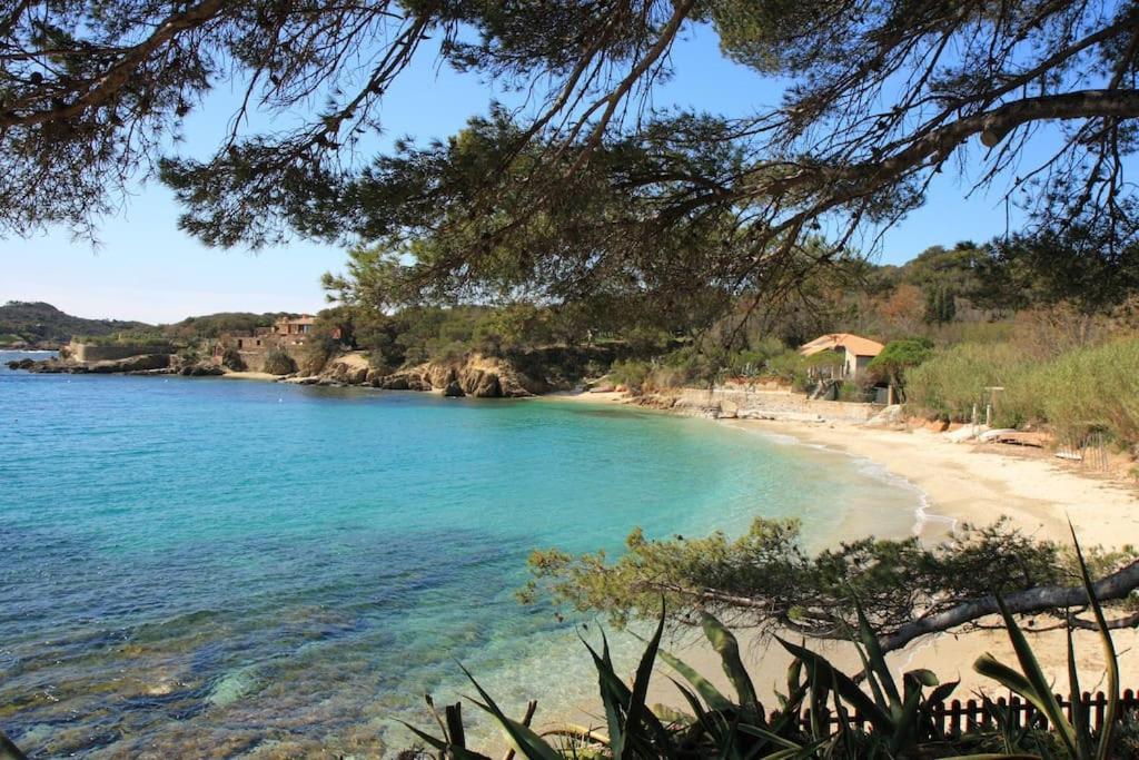 A 500 M Bord De Mer Giens イエール エクステリア 写真